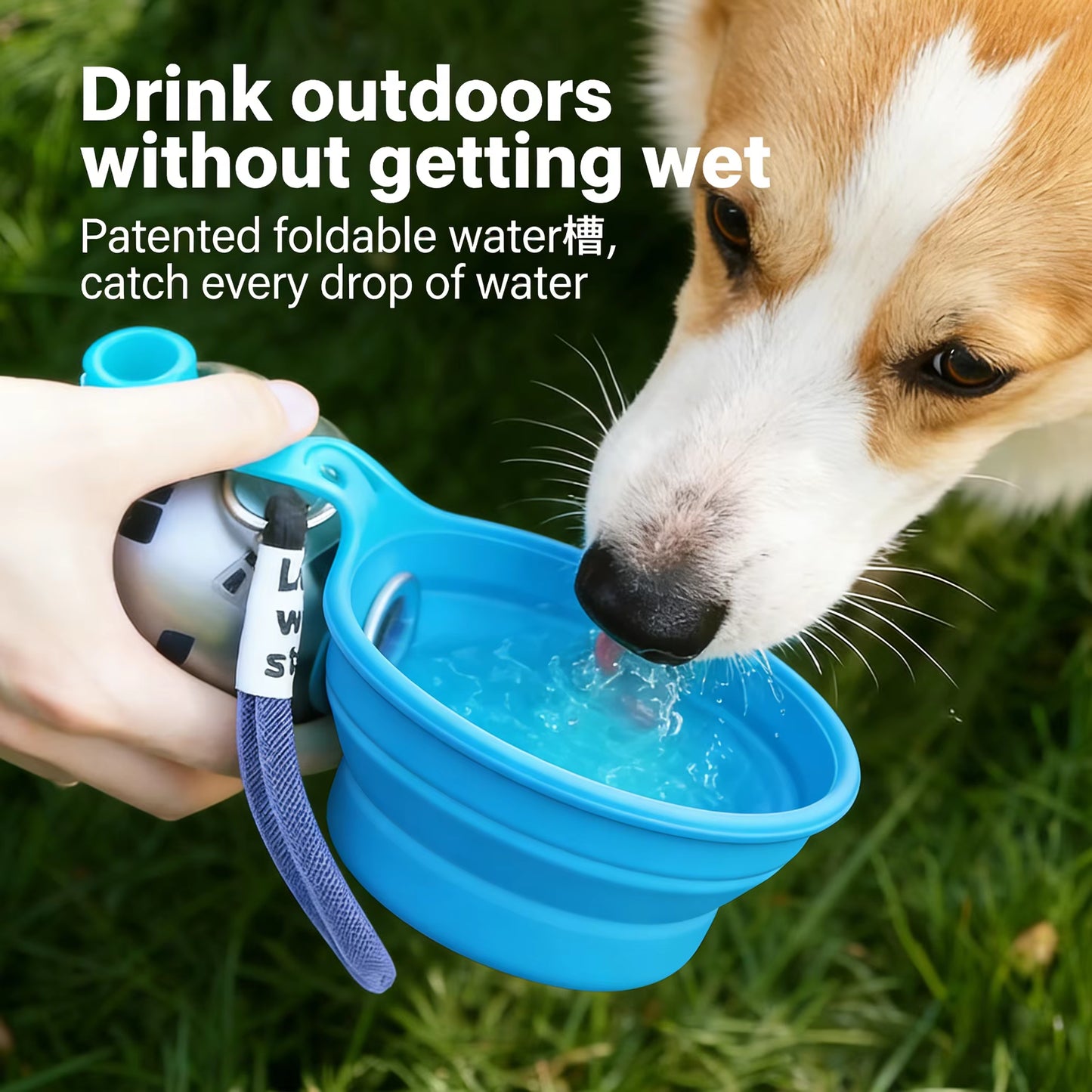 Ready to Ship 285Ml Ball Shape 304 Stainless Steel Portable Pet Water Bottle for Outdoor Travel Walking Dog Puppy
