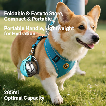 Ready to Ship 285Ml Ball Shape 304 Stainless Steel Portable Pet Water Bottle for Outdoor Travel Walking Dog Puppy